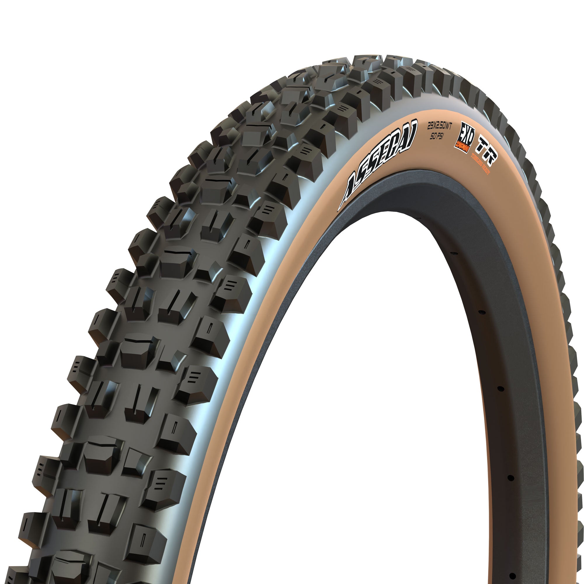 Maxx Terra Assegai 29 Exo Bicycle Tire (63-622) Maxxis Assegai 3C