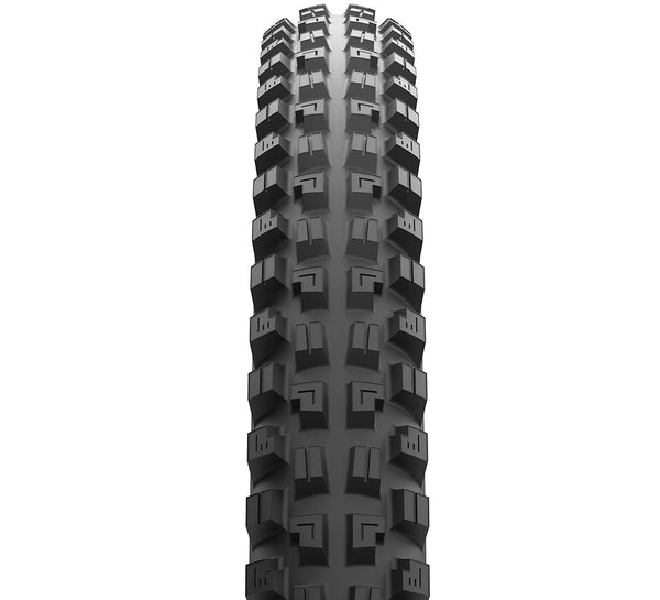 Minion DHX – Maxxis Tires - USA | Shop Tires
