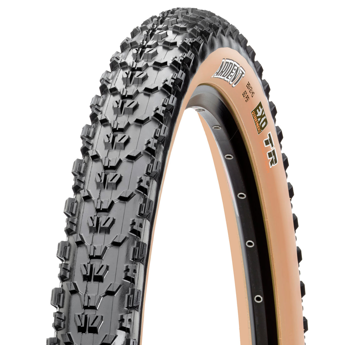 Maxxis tan Clearance